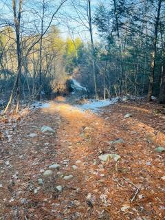 Golden Hill Oasis - 4