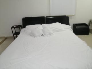 LINDO APARTAMENTO LOFT, EXCELENTE UBICACIÓN! - Carthagène des Indes - 5