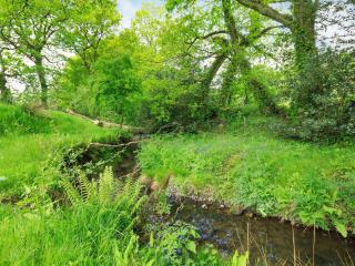 Bluebell Lodge - 1