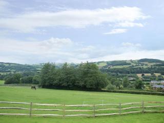 The Lodge - Presteigne - 3