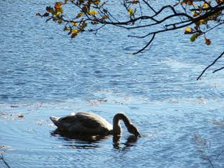 Resort "Schloss Reinharz" - 6