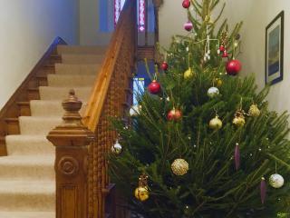 Tan Y Castell - Lampeter-Velfrey - 3