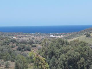 Domus Francy - San Teodoro - 8