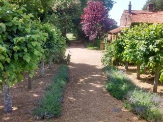 Elm Tree Barn - Felmingham - 8