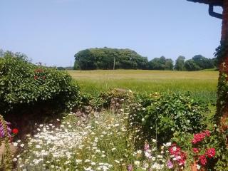 Elm Tree Barn - Felmingham - 7