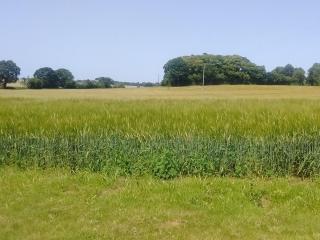 Elm Tree Barn - Felmingham - 6