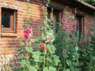 Elm Tree Barn - Felmingham - 2