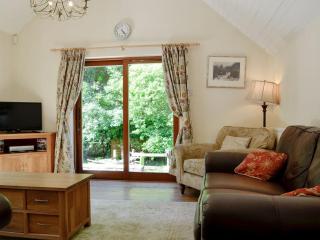 Trem Yr Ynys - Betws-y-coed - 9