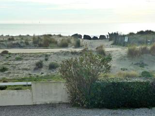 Appartement à 2 pas de la plage avec terrasse et parking - FR-1-387-150 - Marseillan - 1