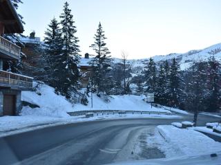 Appartement chaleureux avec terrasse, à 250m des pistes - Méribel, animaux acceptés - FR-1-180-344 - Méribel - 2