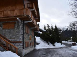 Appartement chaleureux avec terrasse, à 250m des pistes - Méribel, animaux acceptés - FR-1-180-344 - Méribel - 1