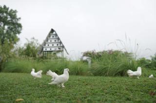 Abhayagiri - Sumberwatu Heritage Resort - Yogyakarta - 1