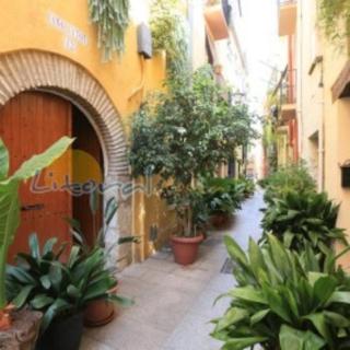 Appt Somni Cambrils à 2min à pied de la plage - 9