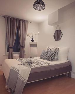 Nancy appartement en triplex plein centre - Nancy - 2