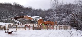 Bonsovi Poliani Hut (хижа Бонсови поляни) - 3