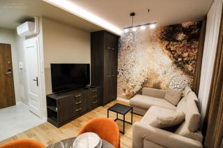 D Apartments Centrum Ziemia - Białystok - 5