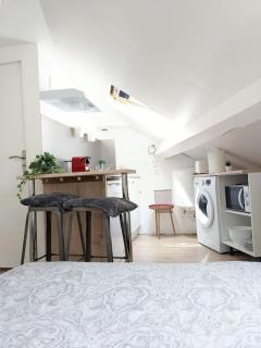 Cosy Lys T1 - Centre Bosquet & Clémenceau - 1