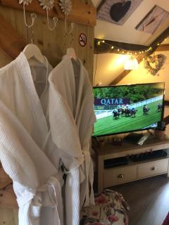 Soldiers Cottage, with HOT TUB, dog friendly, great views - Hereford - 6