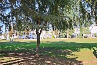 Ayma Apartamento Lauro Golf 12 - Malaga - 8