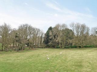 Meadow View - Swafield - 7
