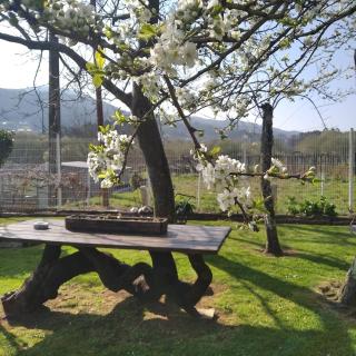 Abouciña - Pontevedra - 5