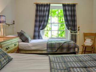 Trem Yr Ynys - Betws-y-coed - 4