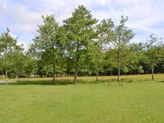 Hazel - Thornbury - 5