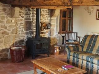 Two Hoots - farmhouse with summer pool. - Châteauponsac - 3