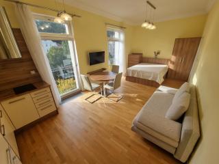Apartmán Orsten - Mariánské Lázně - 8