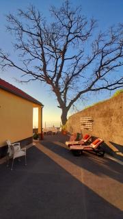 Casa do Carvalho - Calheta - 1