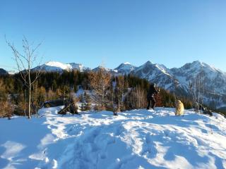 Familienbauernhof Imitz, Ferienwohnung - 1