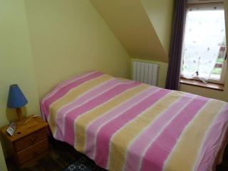 Charmante maison en campagne - Grand-Fougeray - 1