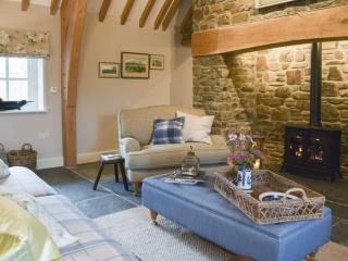 Soar Cottage - Dihewid - 8