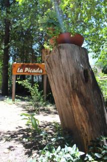 La picada - 0