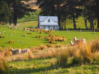Annandale Coastal Farm Escape & Luxury Villa Collection - 2