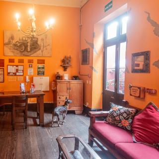KACLLA, The Healing Dog Hostel - Lima - 9