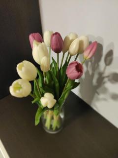 Casa Vacanze Zia Rose - 3