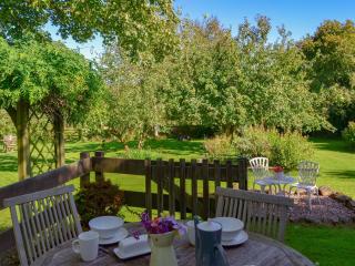 Clematis Cottage - Holsworthy - 5