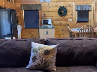 Story Brook: Beautiful true log cabin! Close to Dollywood, State Park, and more! - 7