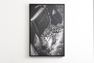 BlackNCozy - Design Appartement mit Boxspringbett und Balkon - Lörrach - 5