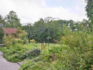 The Mill Cottage - Ault Hucknall - 5