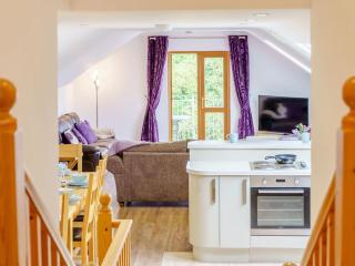 Cwmhyfryd - Llanllwchaiarn - 1