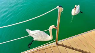 Marina Uno Floating Resort - 3