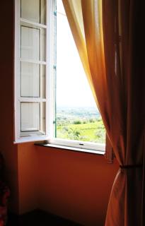 Villa Pedone - 4