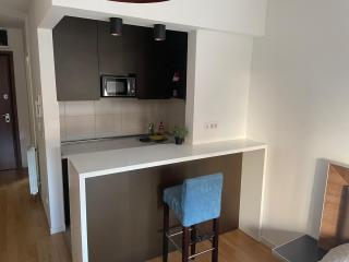 Apartment Maximus II lux - Novi Beograd - 7