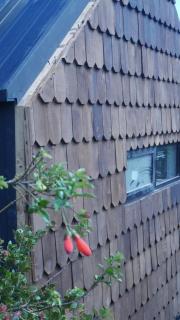 Welemu Tiny House - Refugio Kine - Curiñanco - 5