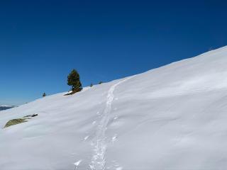 Ferienhaus Brandacher - 1