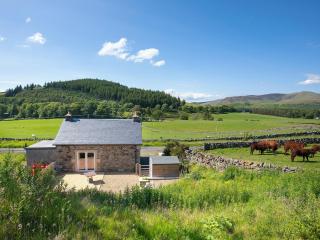 Nettlebush Cottage-Uk5629 - Drummelzier - 9