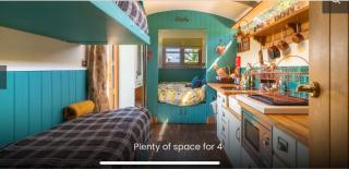 Shepherds Hut with Scandinavian Hot Tub and hydromassager - Sway - 2