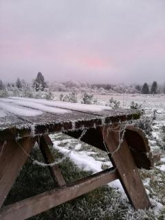 Le hurlement du loup - 7